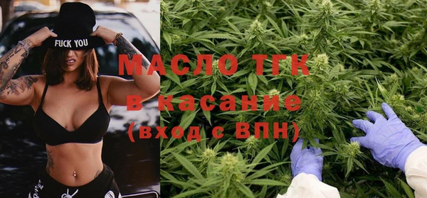 молекула духа Болотное