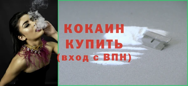 тгк Пестово