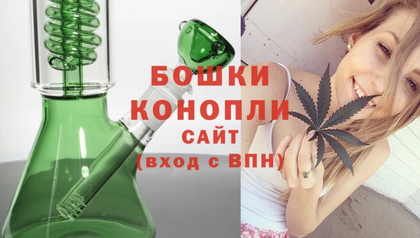 тгк Пестово