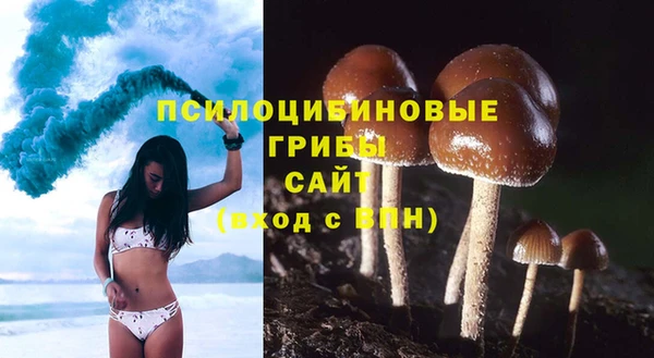 трава Переславль-Залесский