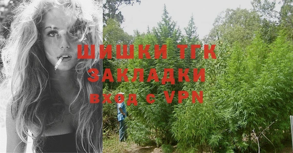 герыч Пересвет