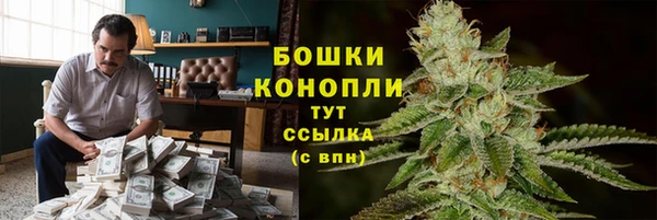 тгк Пестово